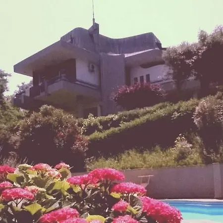 Girasole * Pesaro